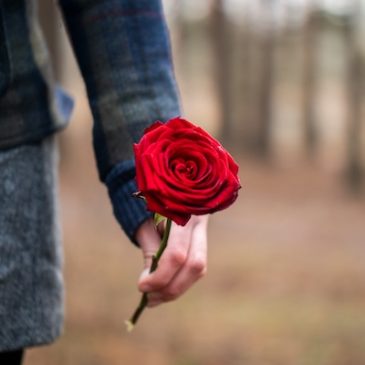 Romeo and Juliet: November 6-21 at the Bartell Theatre